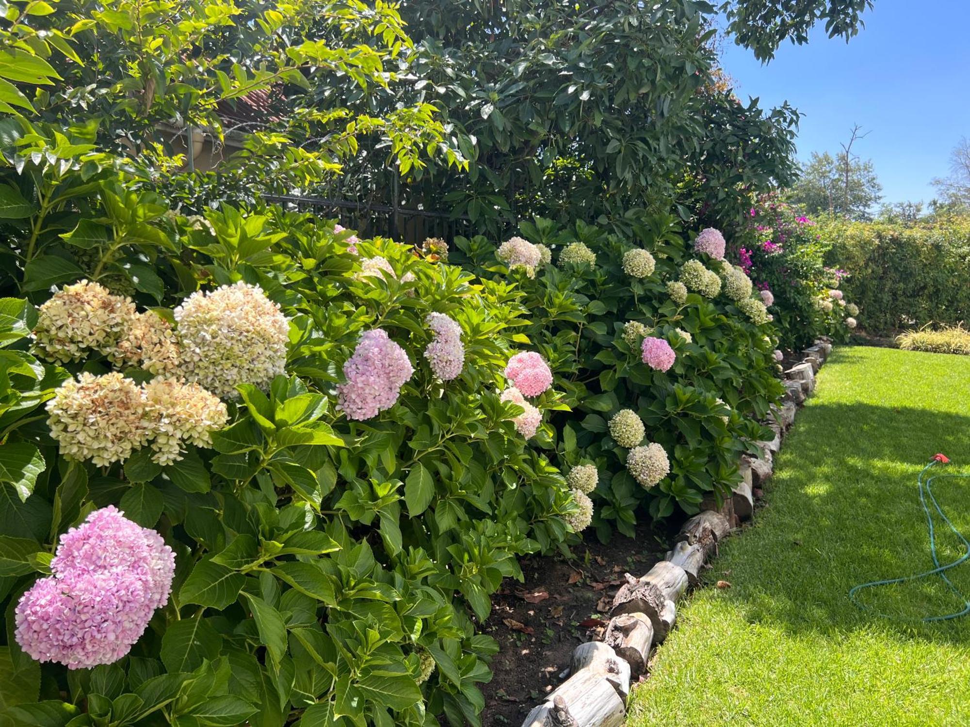 Luxery Gem In Stellenbosch Apartment Екстериор снимка